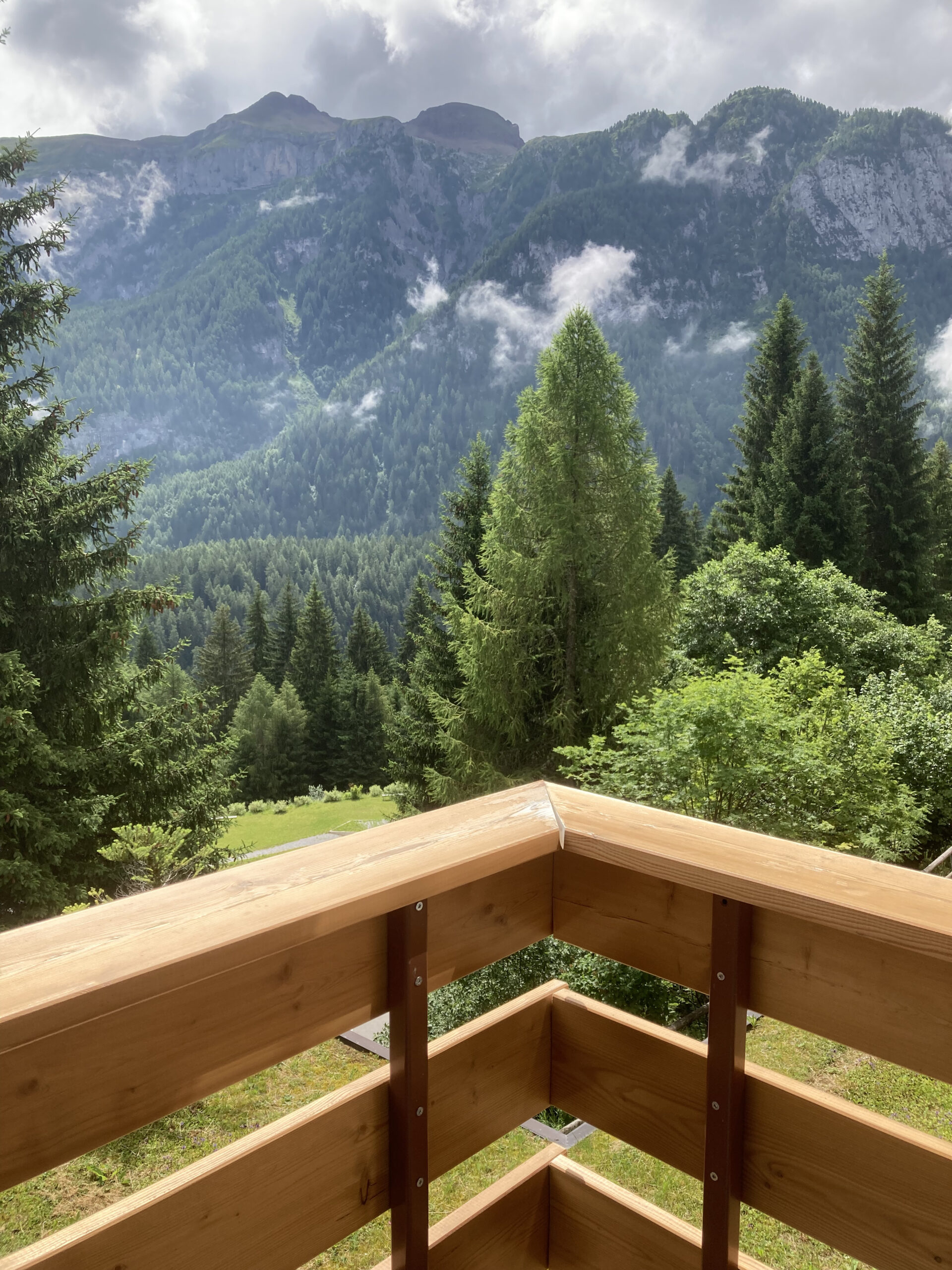 vista montagne verdi Residence Larici Belvedere